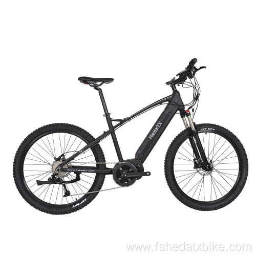 Handsome mountain electric bike